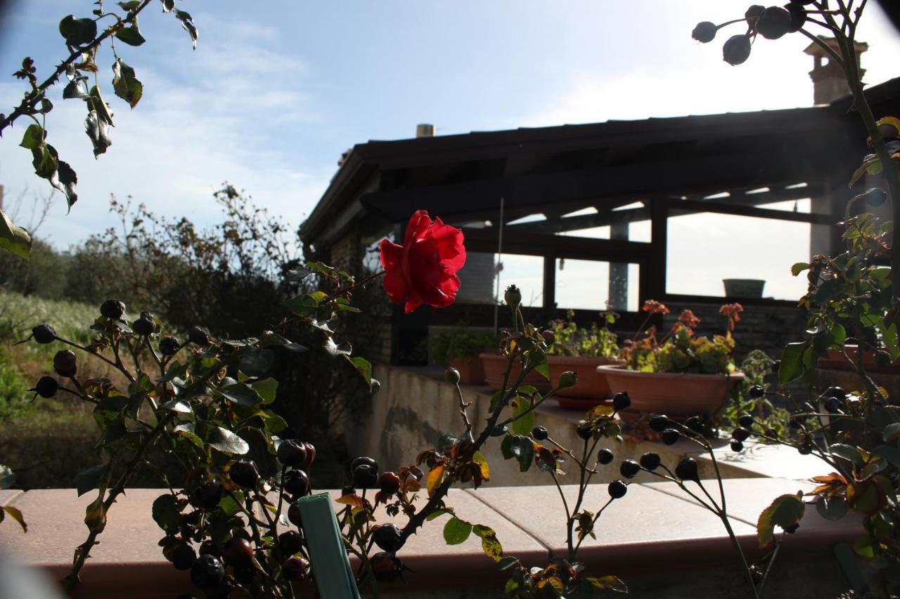 Bed and Breakfast La Casa Di Bia Corleone Exterior foto