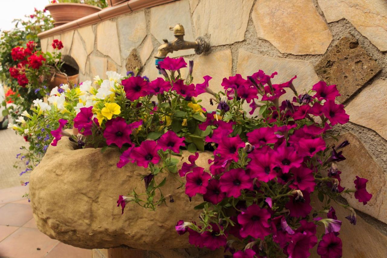 Bed and Breakfast La Casa Di Bia Corleone Exterior foto